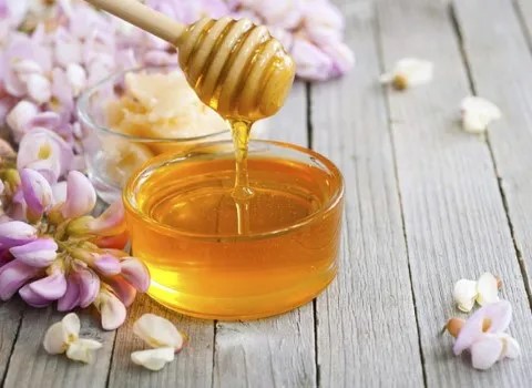 خرید عسل در خراسان شمالی + قیمت فروش استثنایی